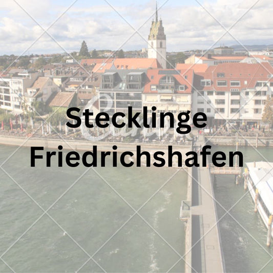 Wo kann ich THC Cannabis Stecklinge in Friedrichshafen kaufen ?