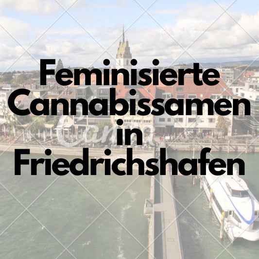Wo kann ich THC Samen kaufen in Friedrichshafen?